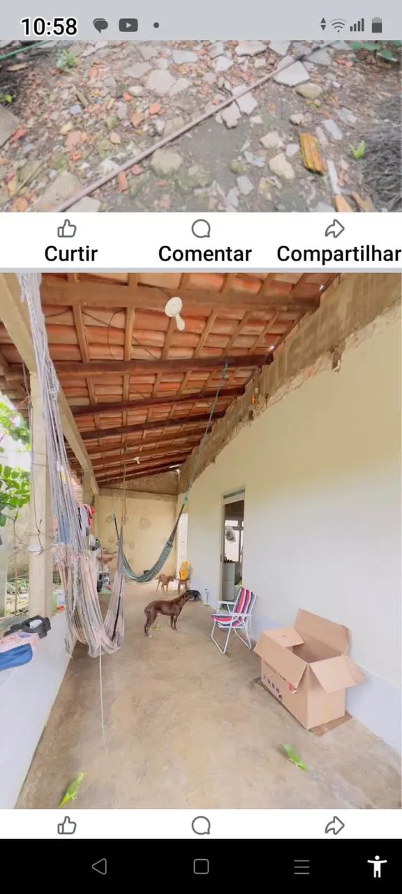 Foto - Porto Velho - Área Rural de Porto Velho