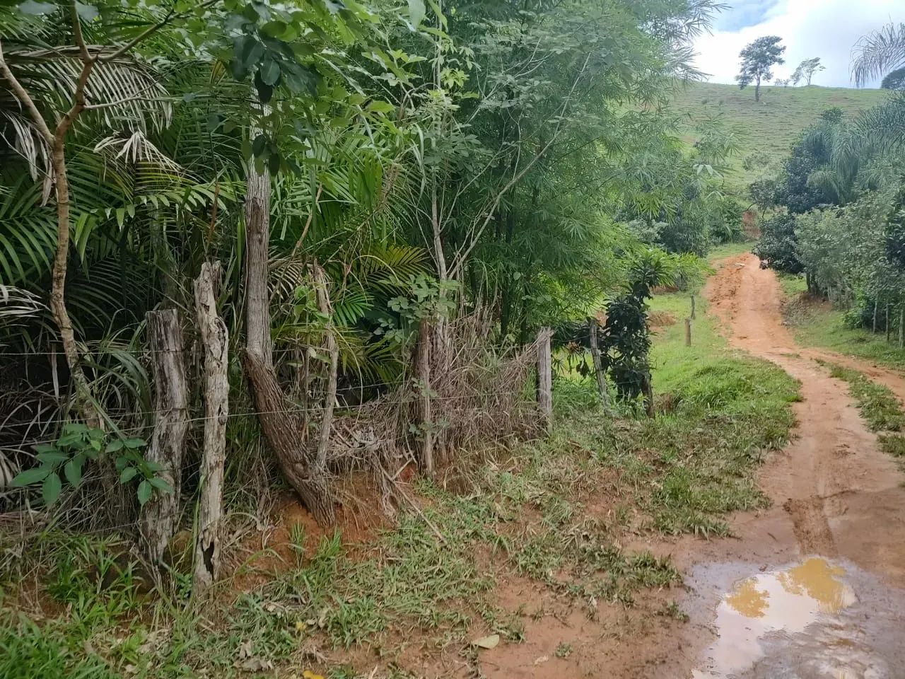 Sítio em Pedra Mulata, Viana. - Foto 14