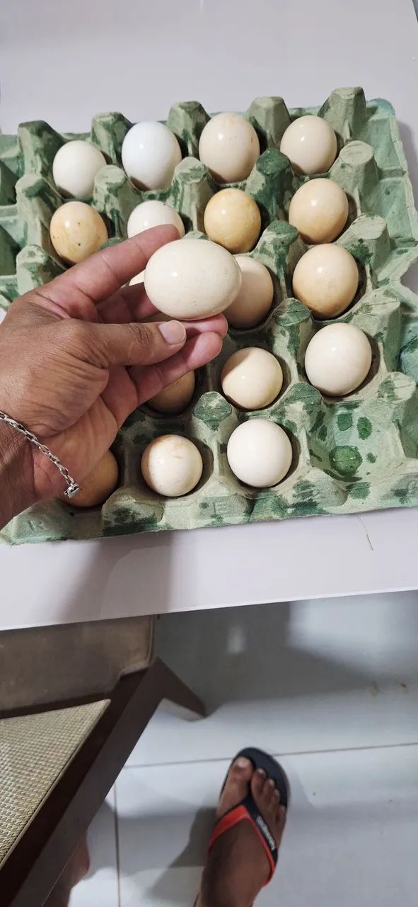 Ovos caipira 16 a dúzia  - Foto 3