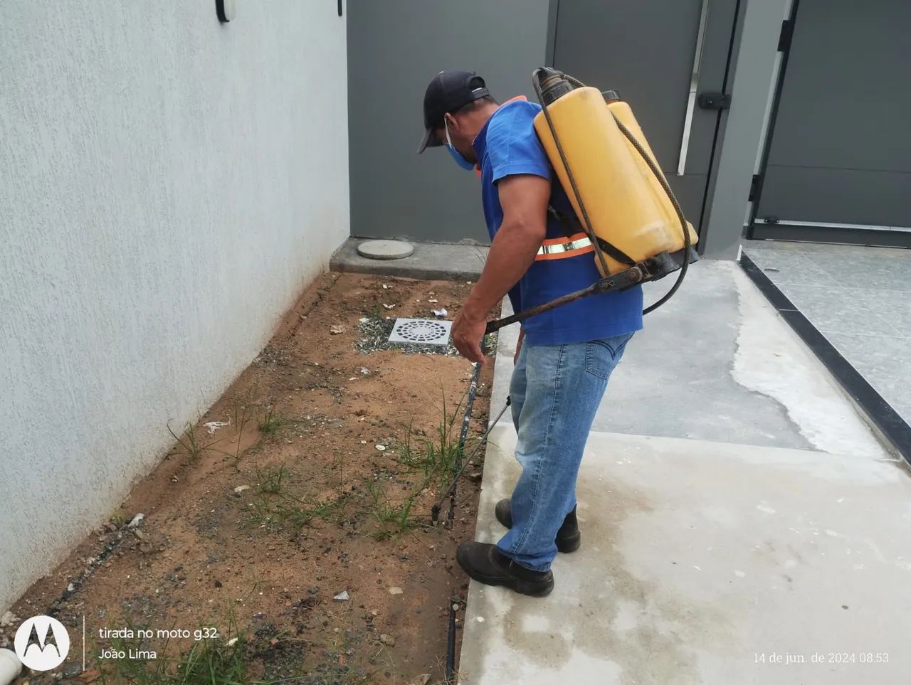 Desinsetização e serviços  - Foto 2