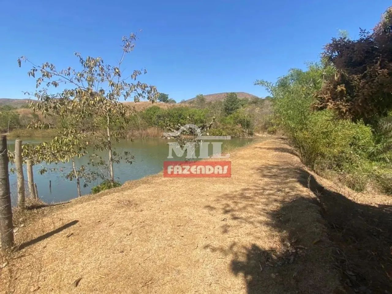 Fazenda 15 Alqueires (72,6 Hectares) Pirenopolis - GO - Foto 6