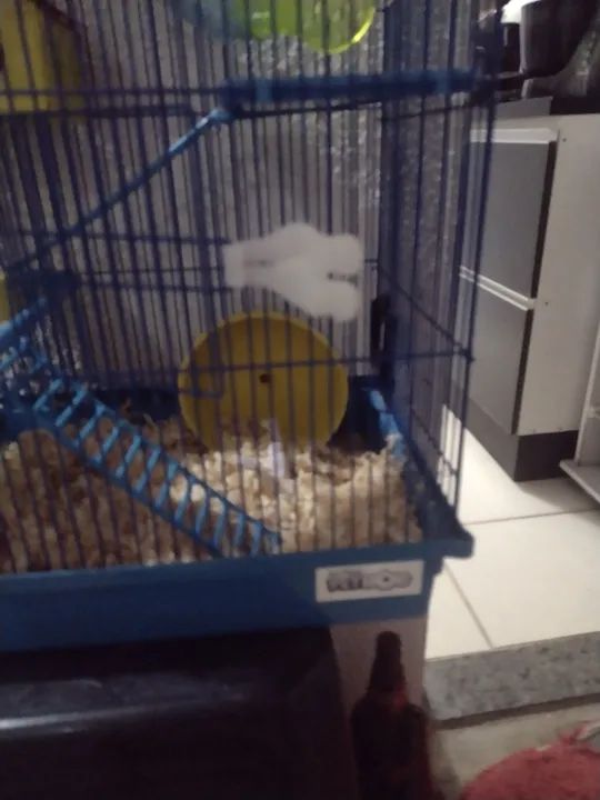 Combo Hamster! Conjunto vem o hamster e a gaiola - Foto 5