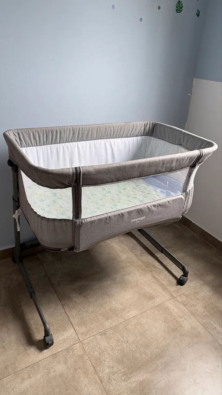 Moses Basket Voyage