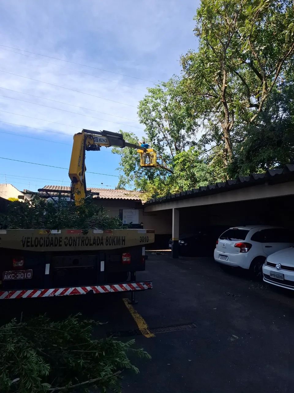 Jardinagem  - Foto 3