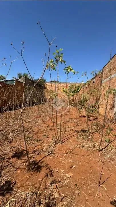 Lote no Setor Jardim Florença. codigo: 136339 - Foto 2