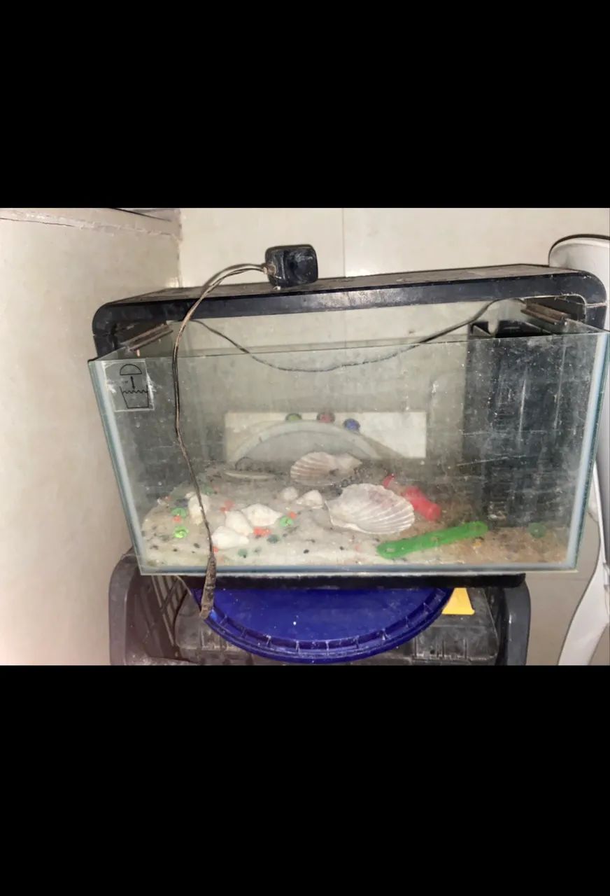 25-liter Aquarium (I won’t accept a lower price)