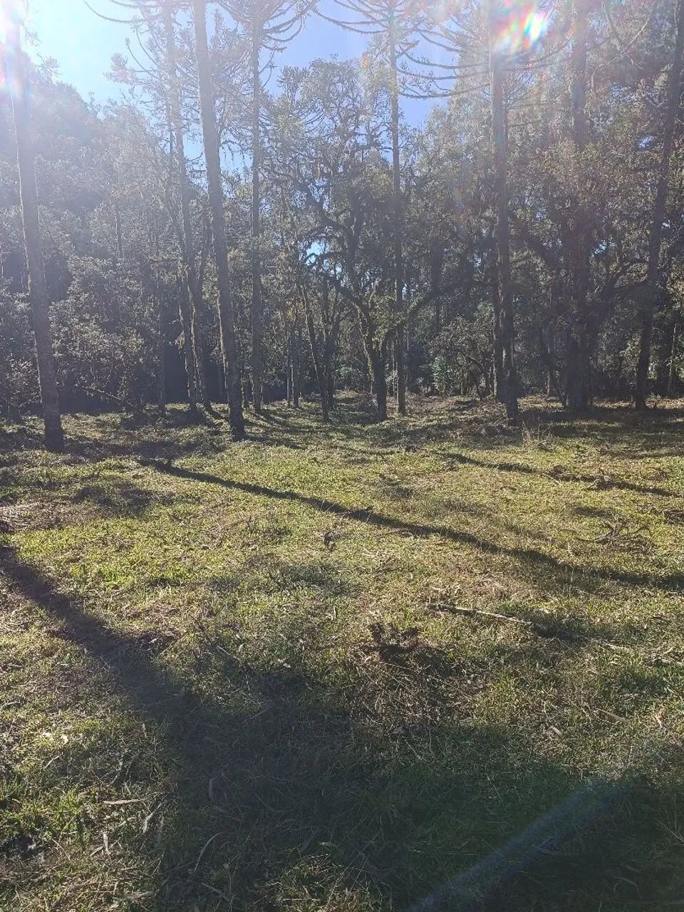 Terreno Urubici  - Foto 5