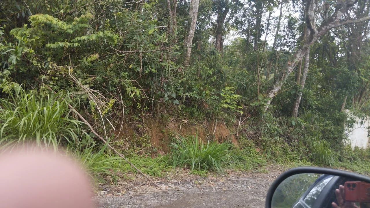 Lindo terreno para chácara  - Foto 2
