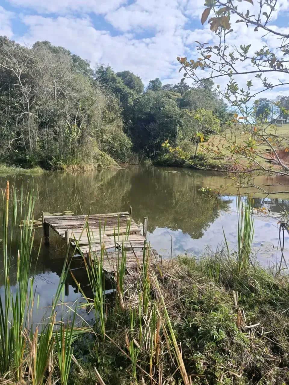Terra fortes - Foto 3
