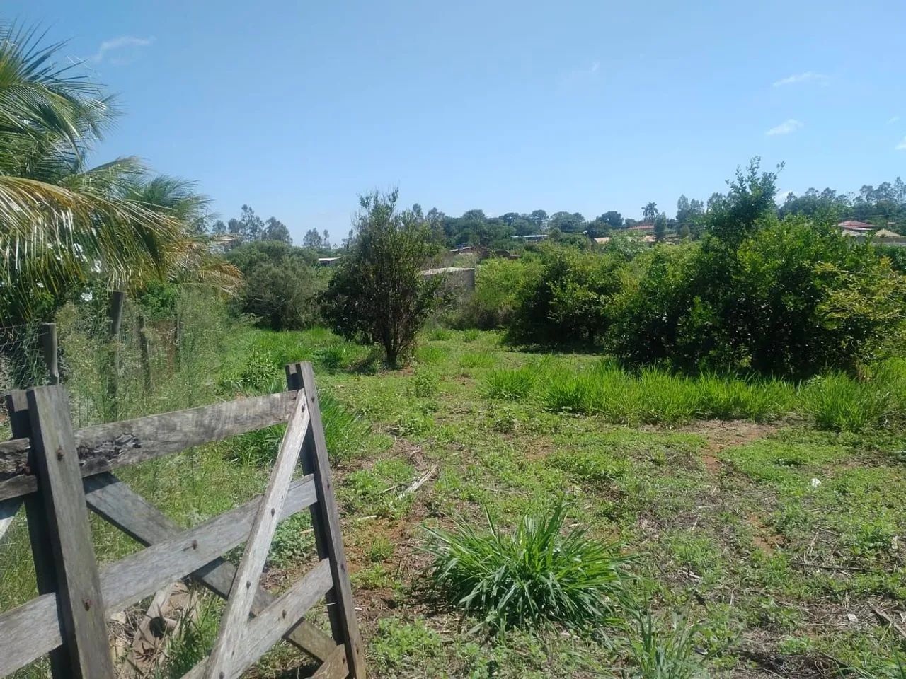 Foto - Álvares Machado - 