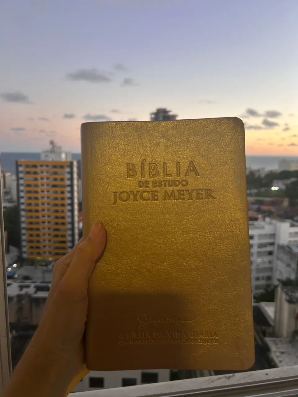 Bíblia de estudo Joyce Meyer - Foto 3