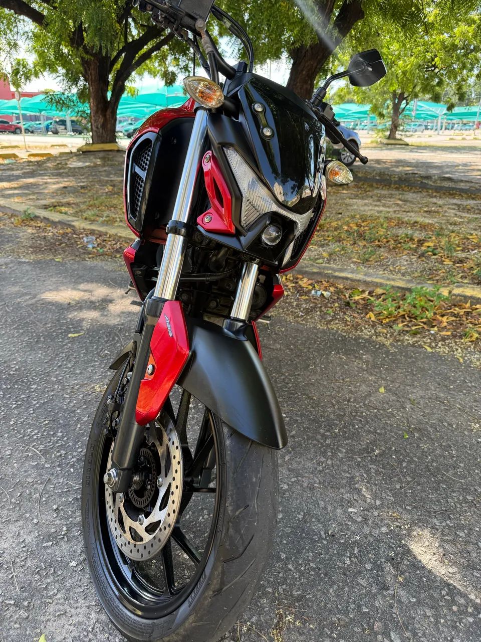 Fz15  2024