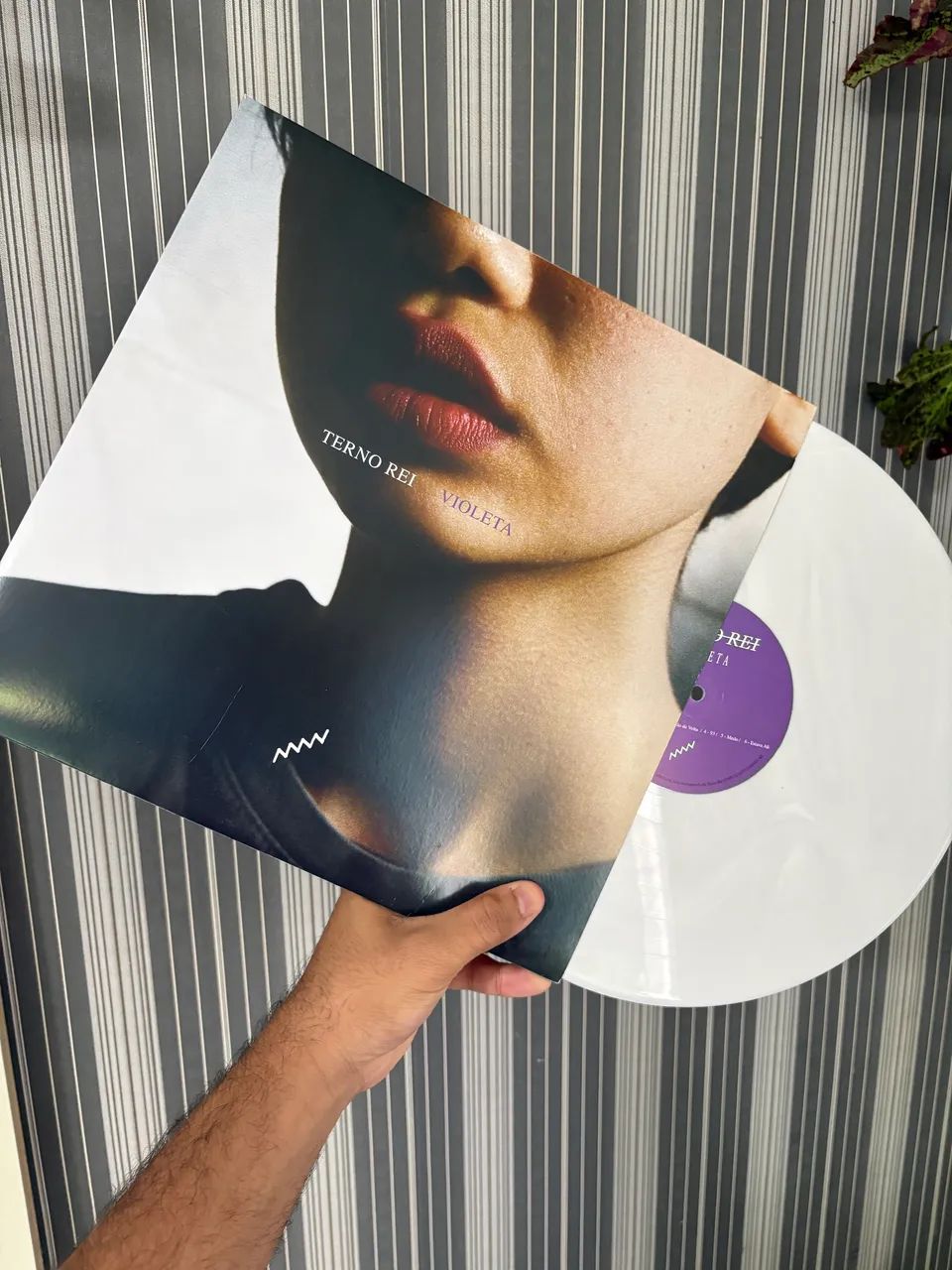 Lp Terno Rei - Violeta (1ª edição)
