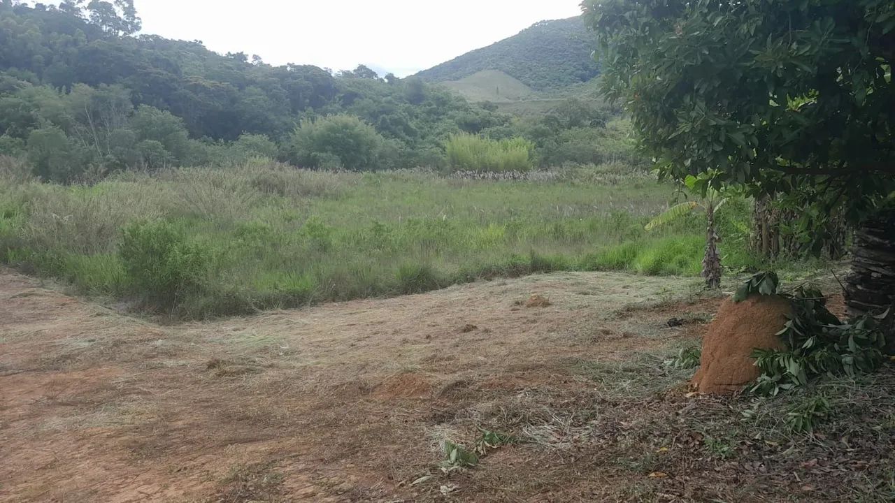 Chacara com 5 hectares - Foto 2