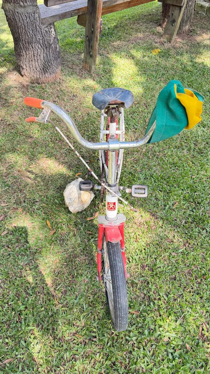 Bicicleta  - Foto 5
