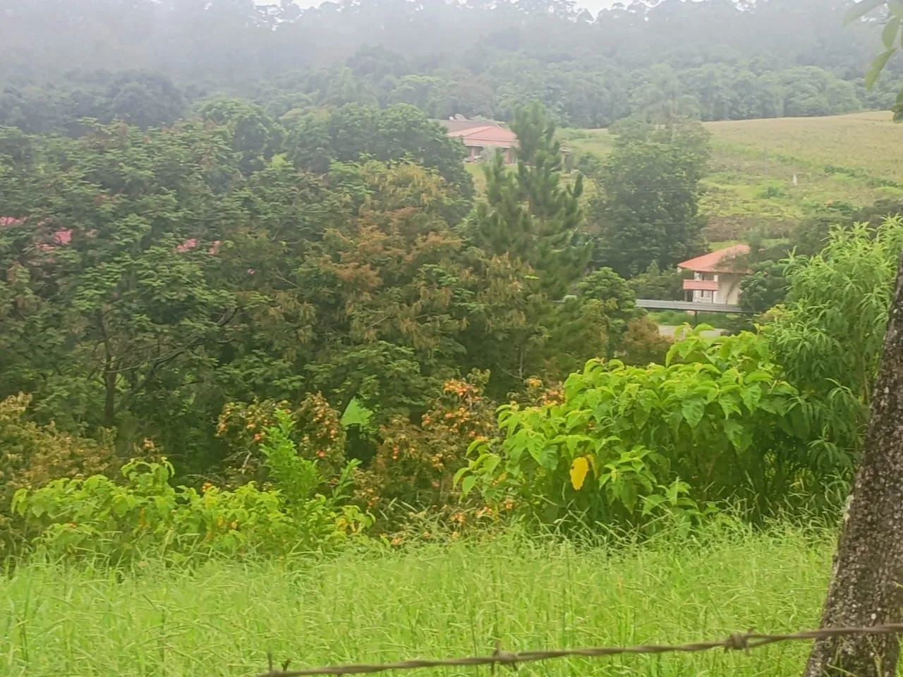 Área caxambu  - Foto 3