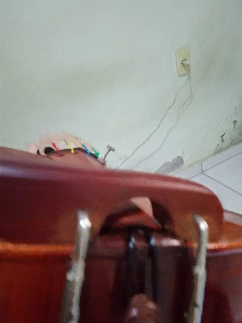 Violino eagle  - Foto 6