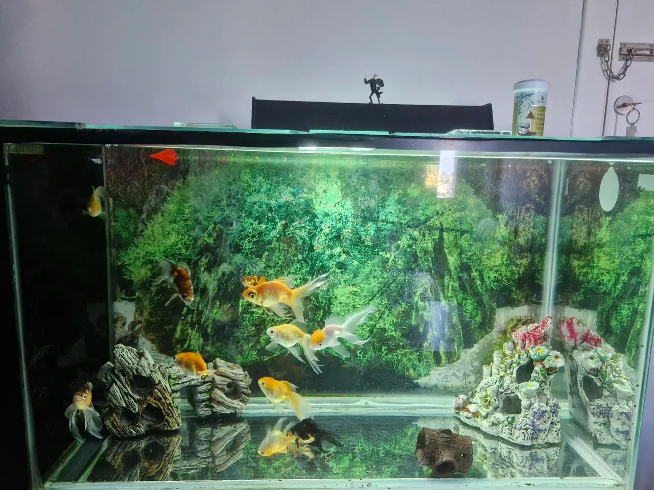 Aquário com armário planejado  - Foto 2