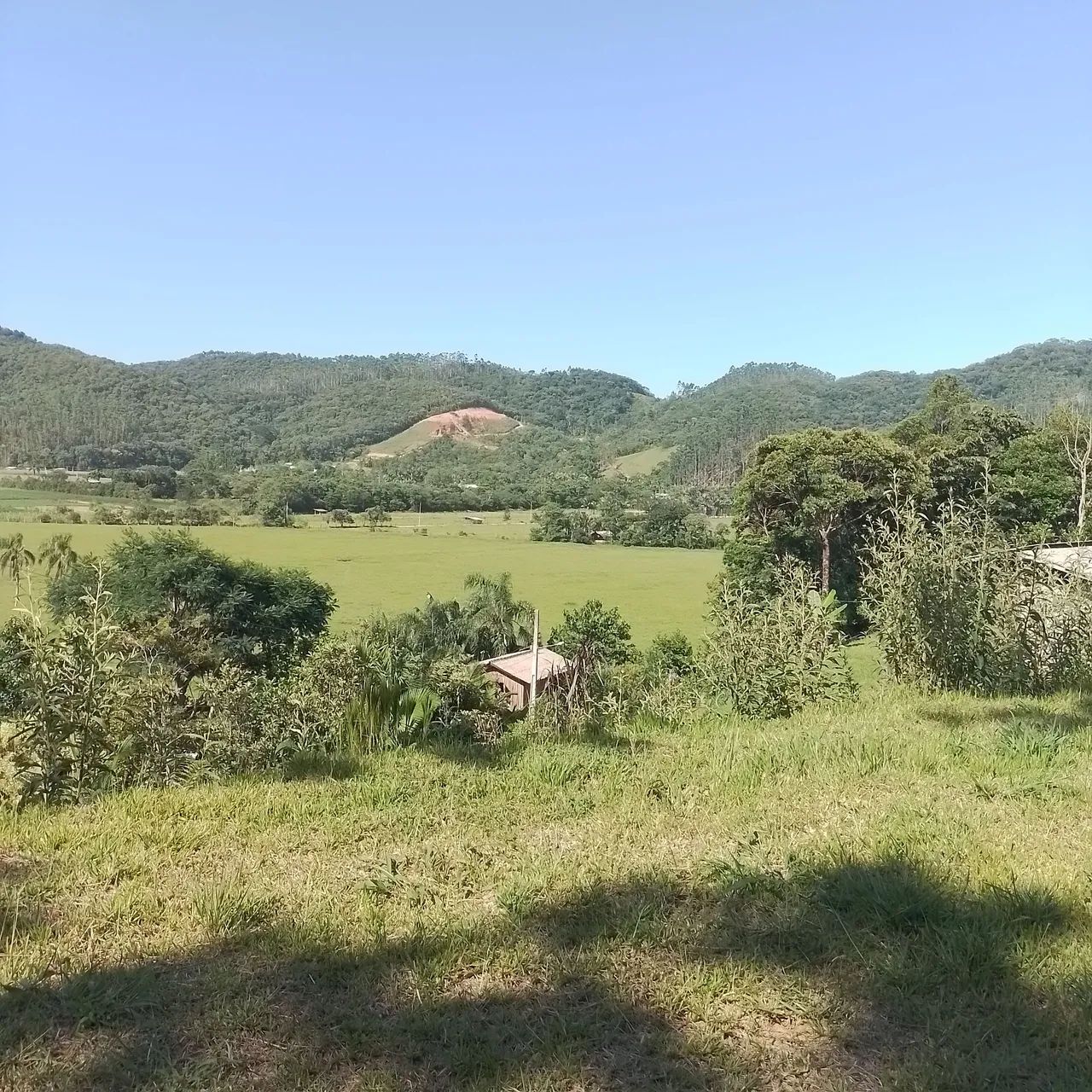 Terreno de 2,000 quadrados com uma casinha pra reforma com agua e luz  - Foto 2