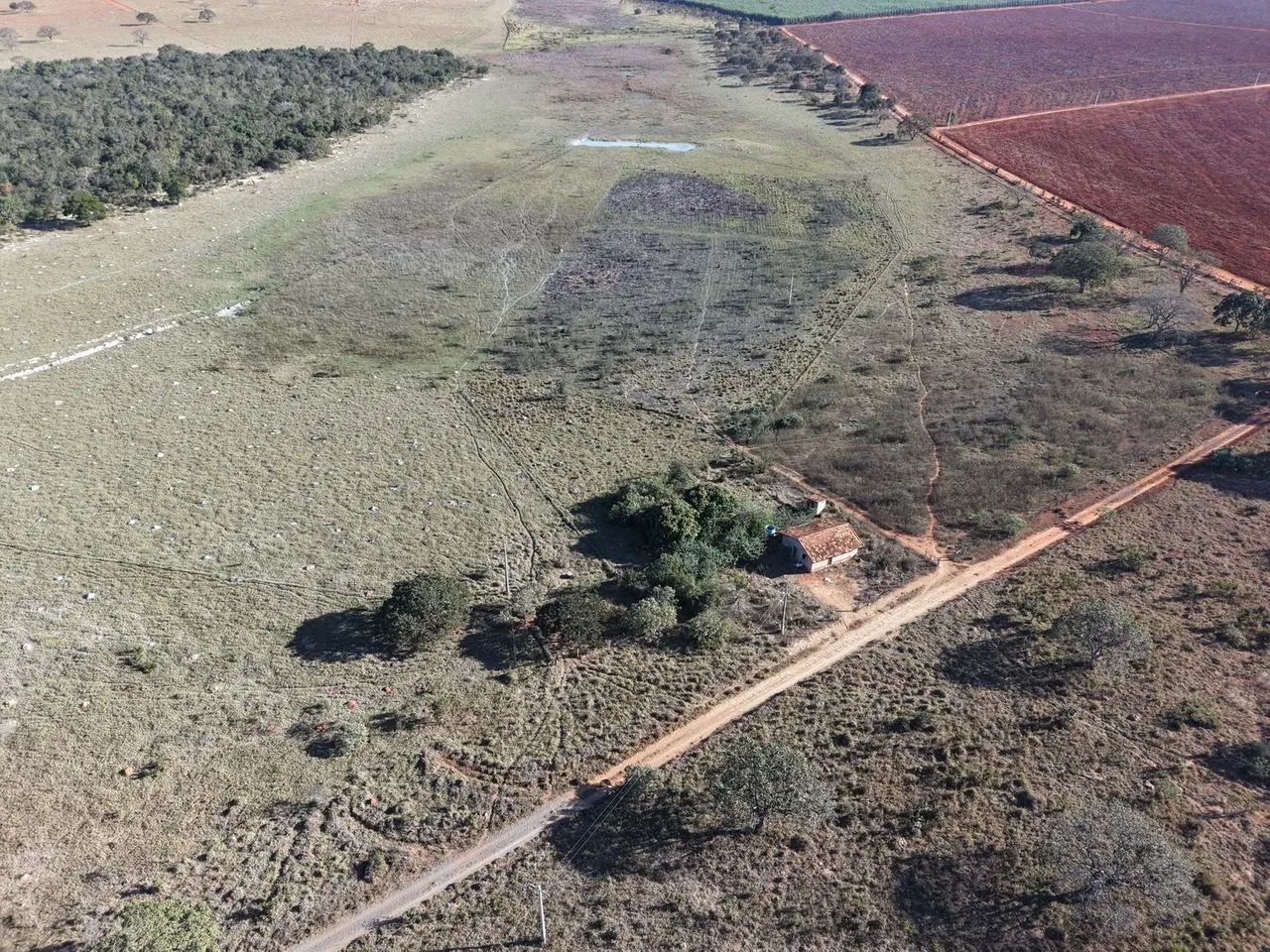 Fazenda 150hectares - Foto 4