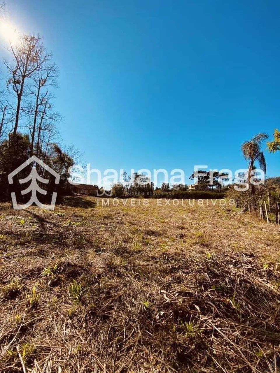 Terreno rural - Foto 3