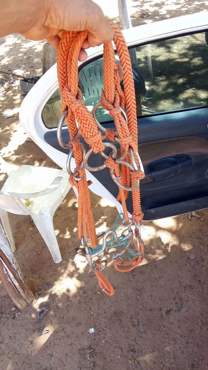 Cabeçada trançada para venda aceito troca
