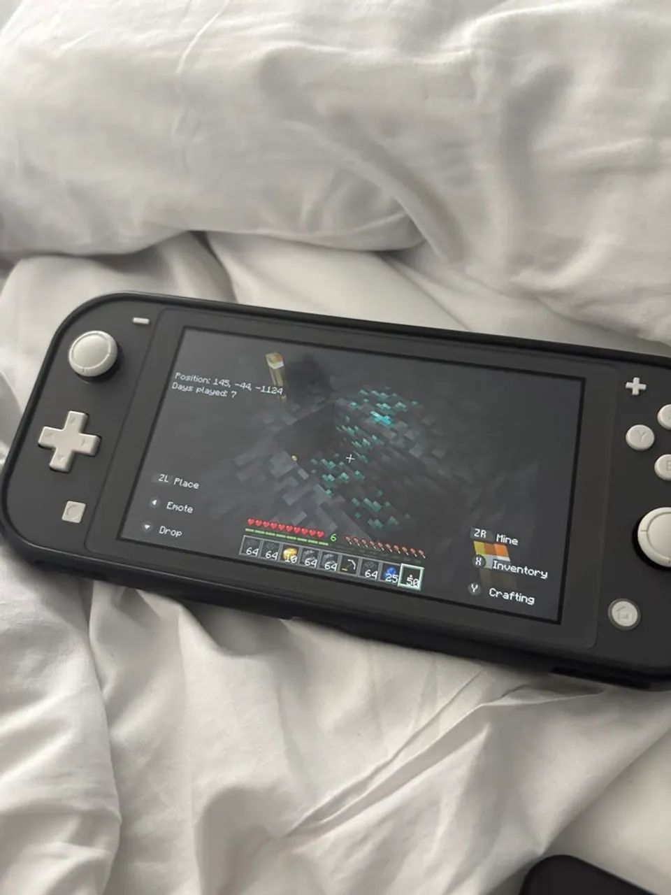 Nitendo switch lite cinza?