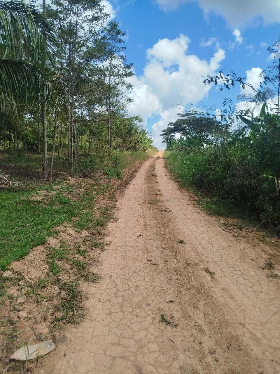 Vendo ou troco esse citio  - Foto 2