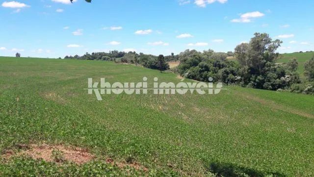 Sítio à venda em Sarandi, NÃO INFORMADO, com 5 quartos, com 5 alqueires - Foto 5