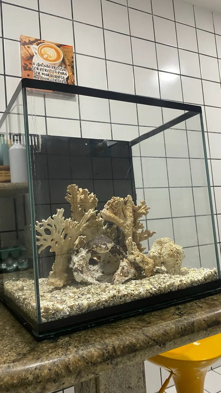 AQUÁRIO MARINHO 64 LITROS - Foto 3