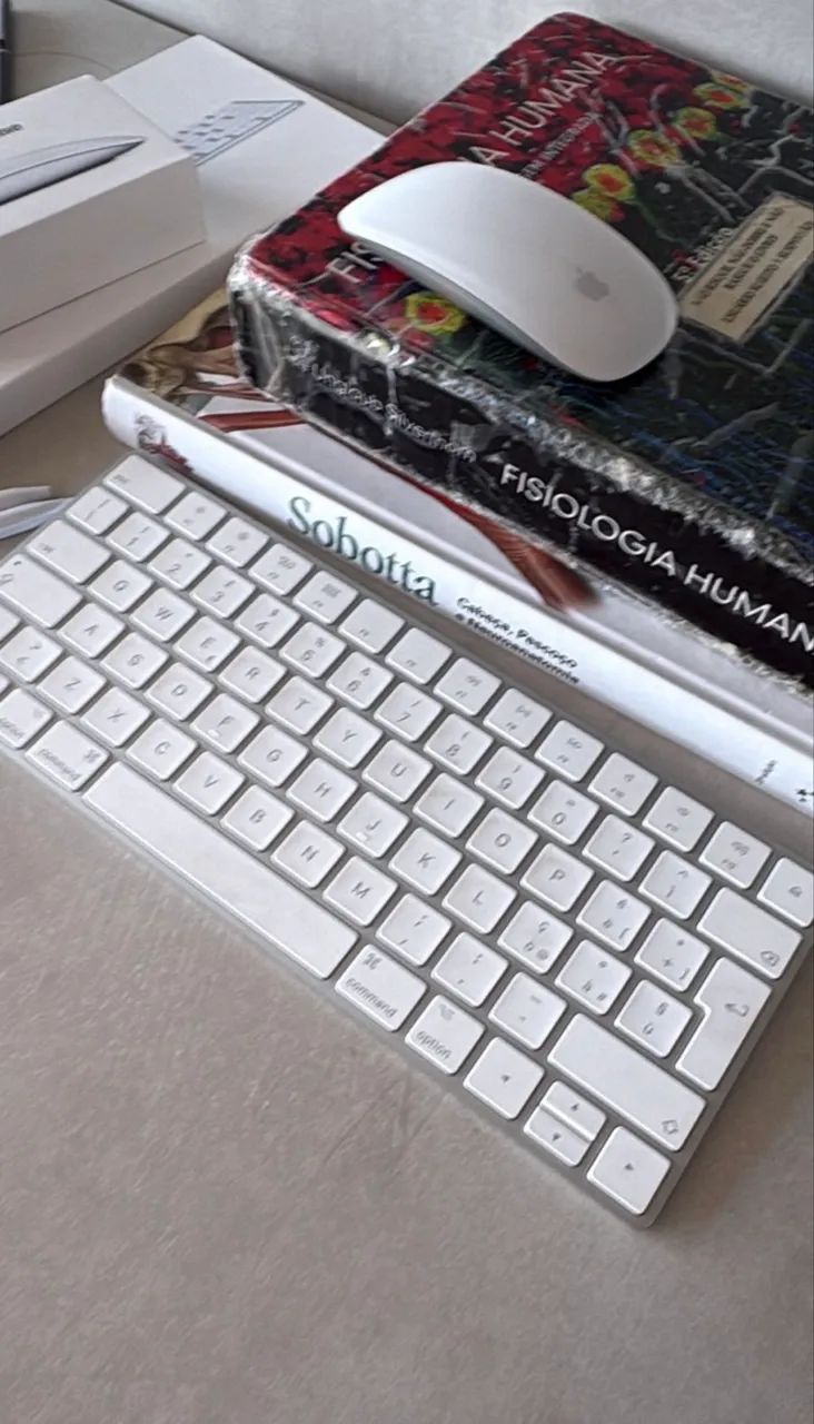 Teclado e mouse Apple  - Foto 2