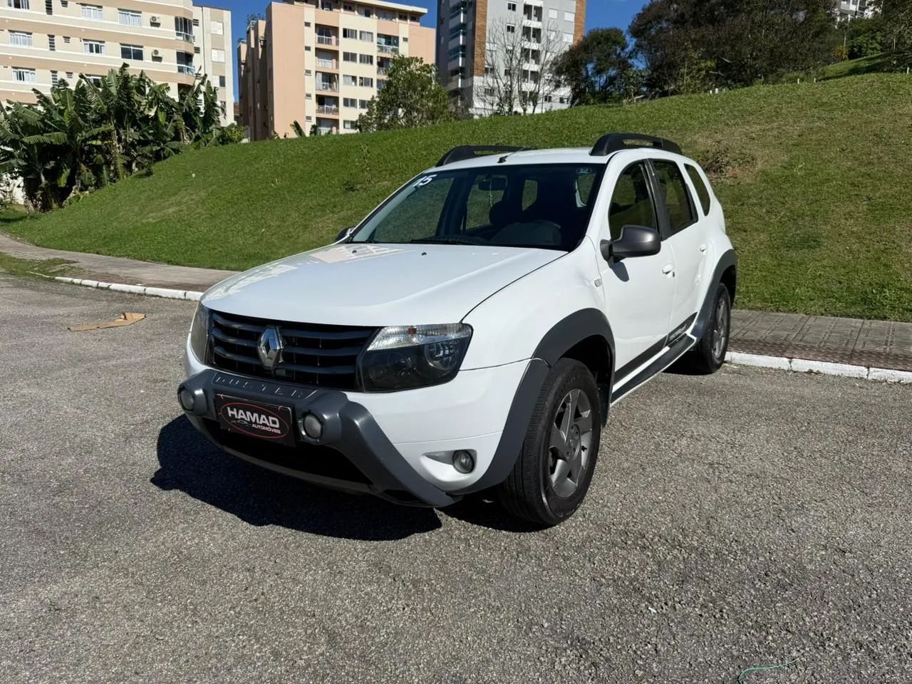 Renault Duster Dynamique 2.0 Hi-flex 16V Mec. 2015