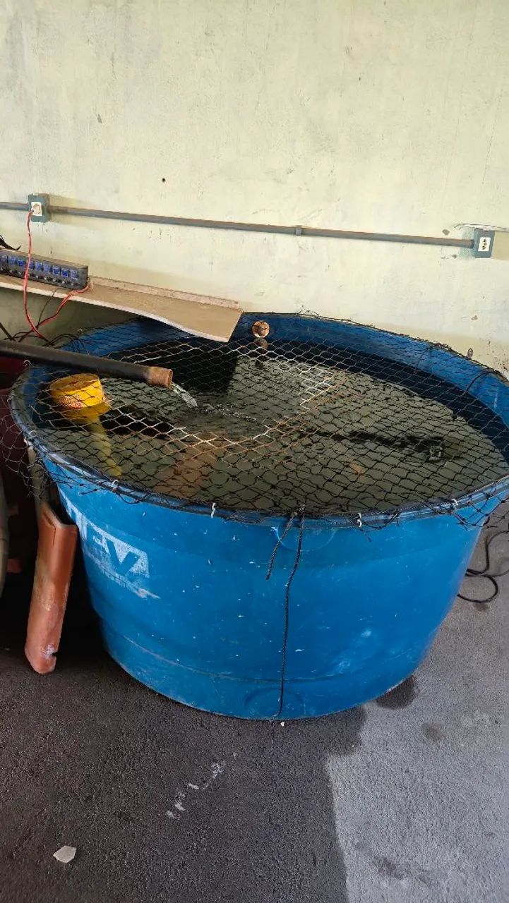 Caixa dagua completa para peixes 
