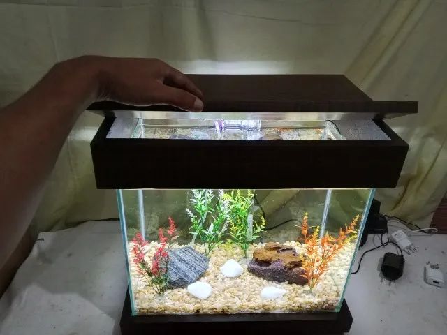 Aquário Novo e Completo 30l - Foto 5