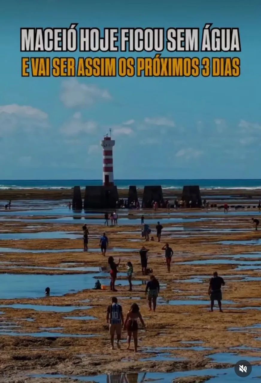 Viajando por Alagoas 
