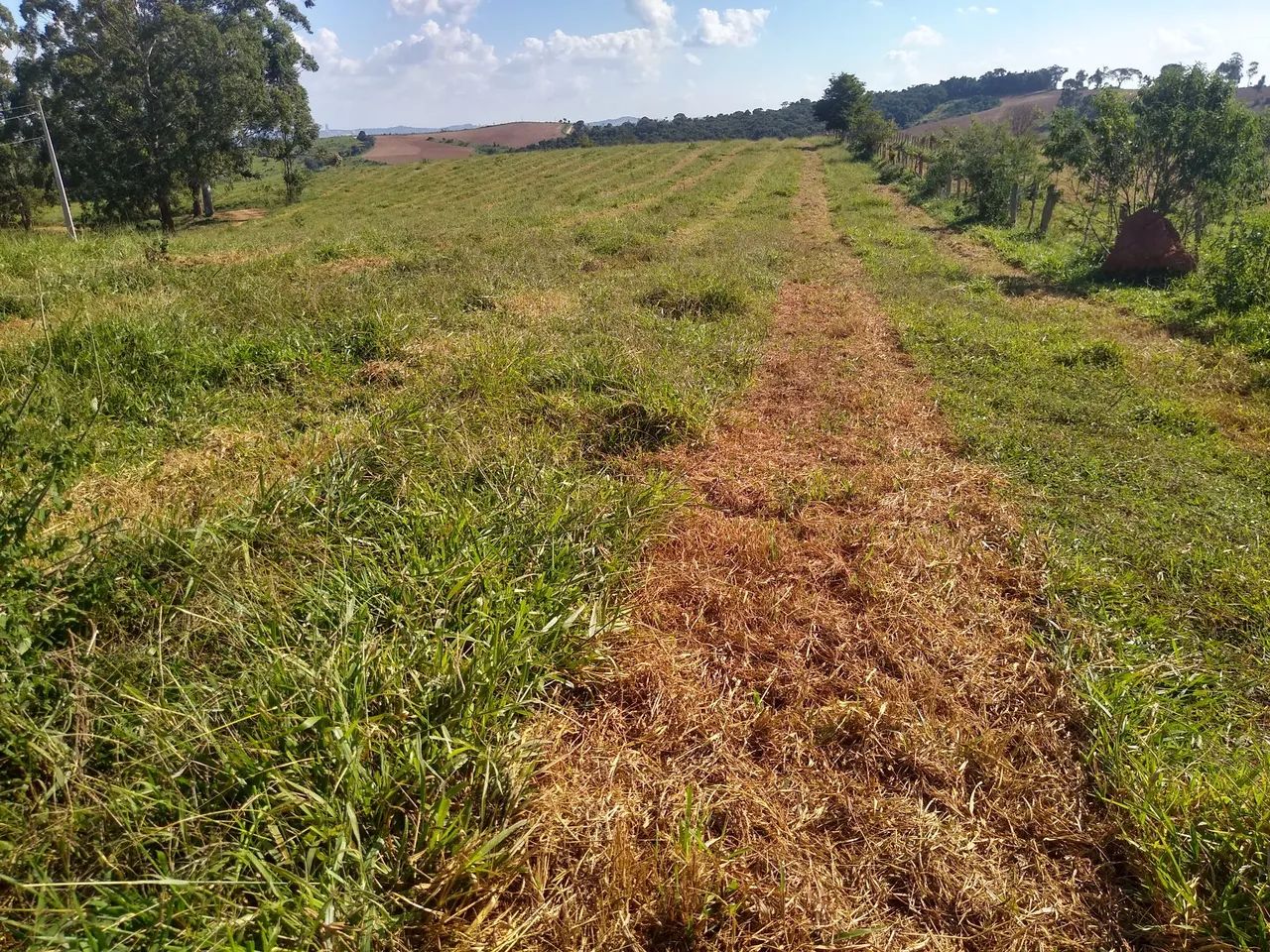 Terreno 