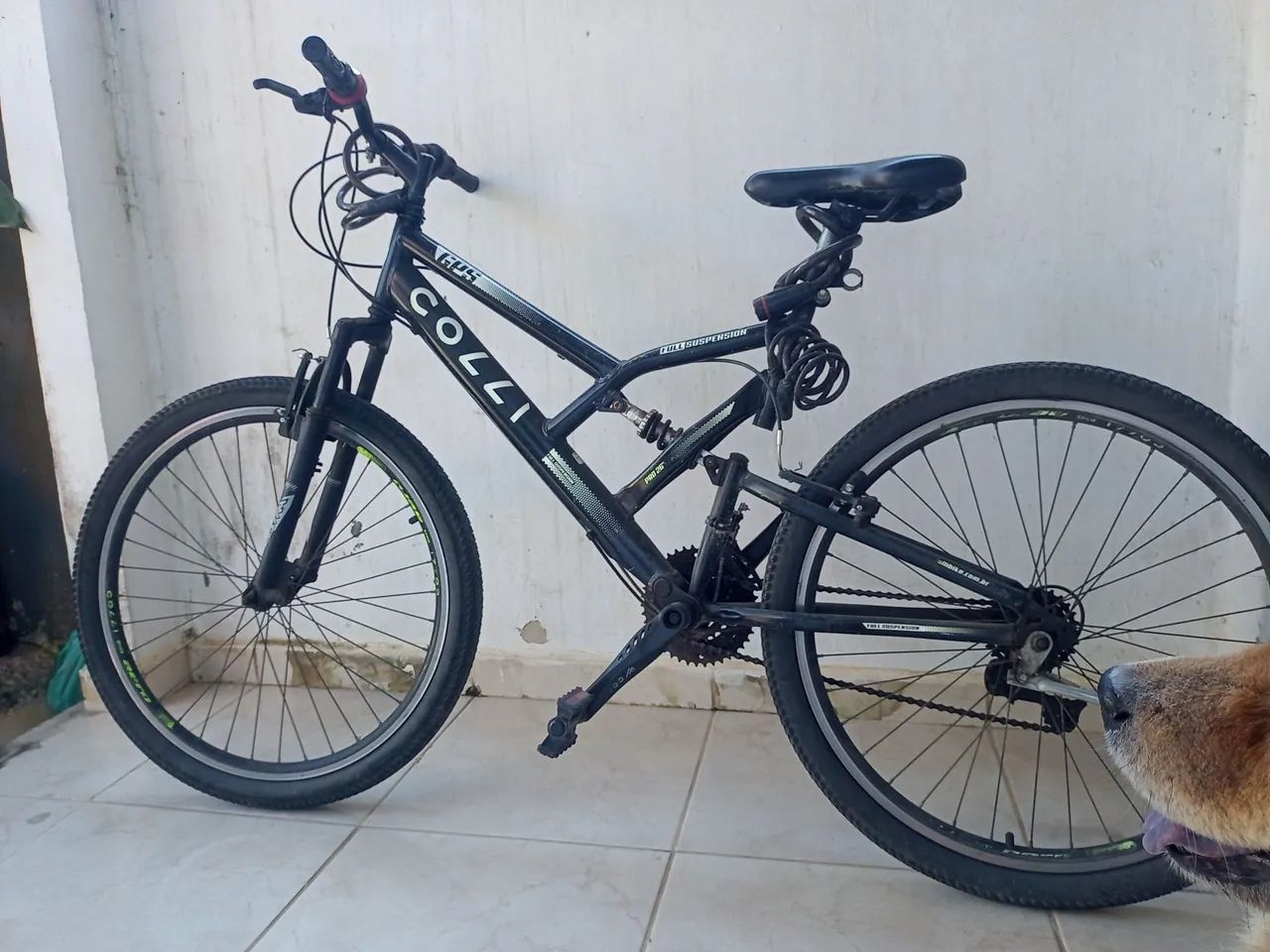 Bicicleta