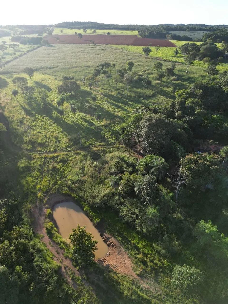 Imobiliária  terra brasil - Foto 4