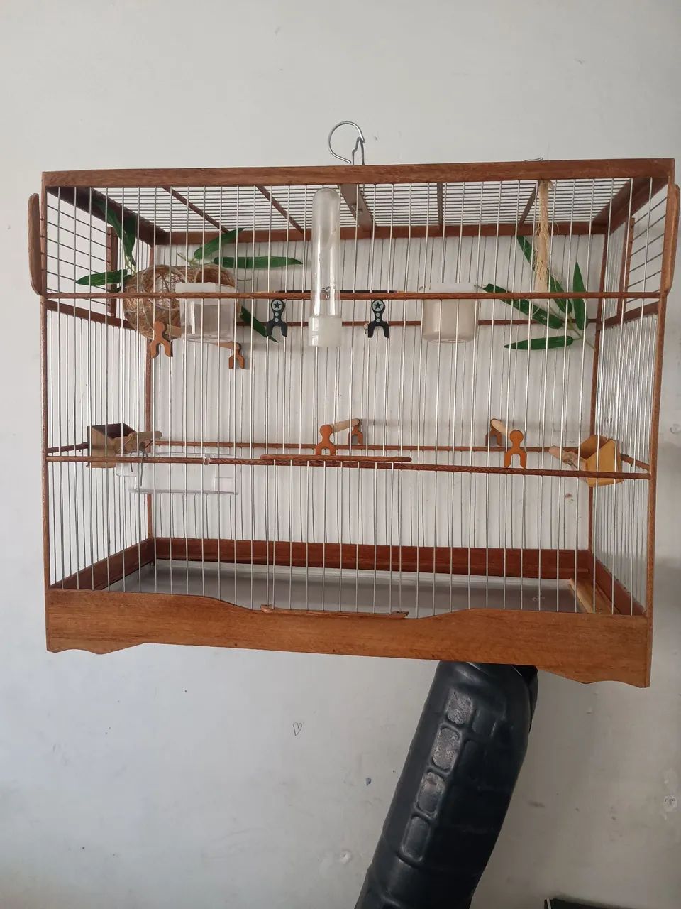 Animais e acessórios  - Foto 2