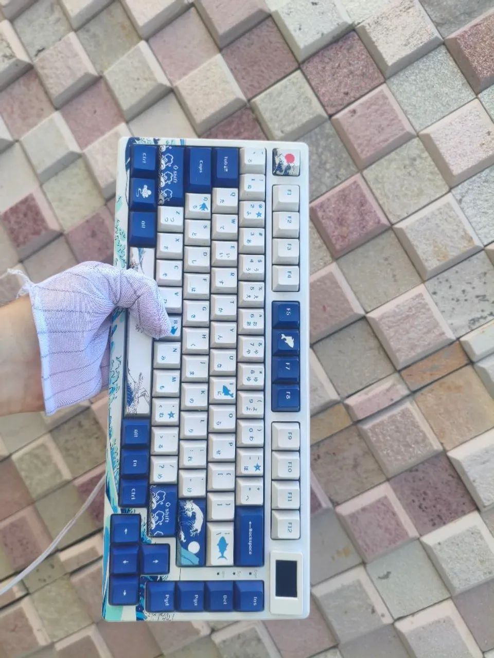 Teclado XVX S-K80