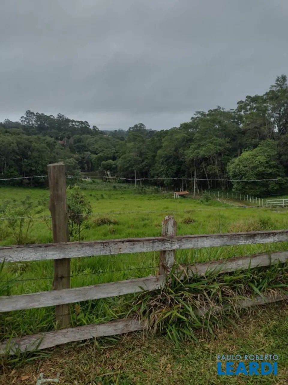 SÍTIO - FEITAL - SP - Foto 4