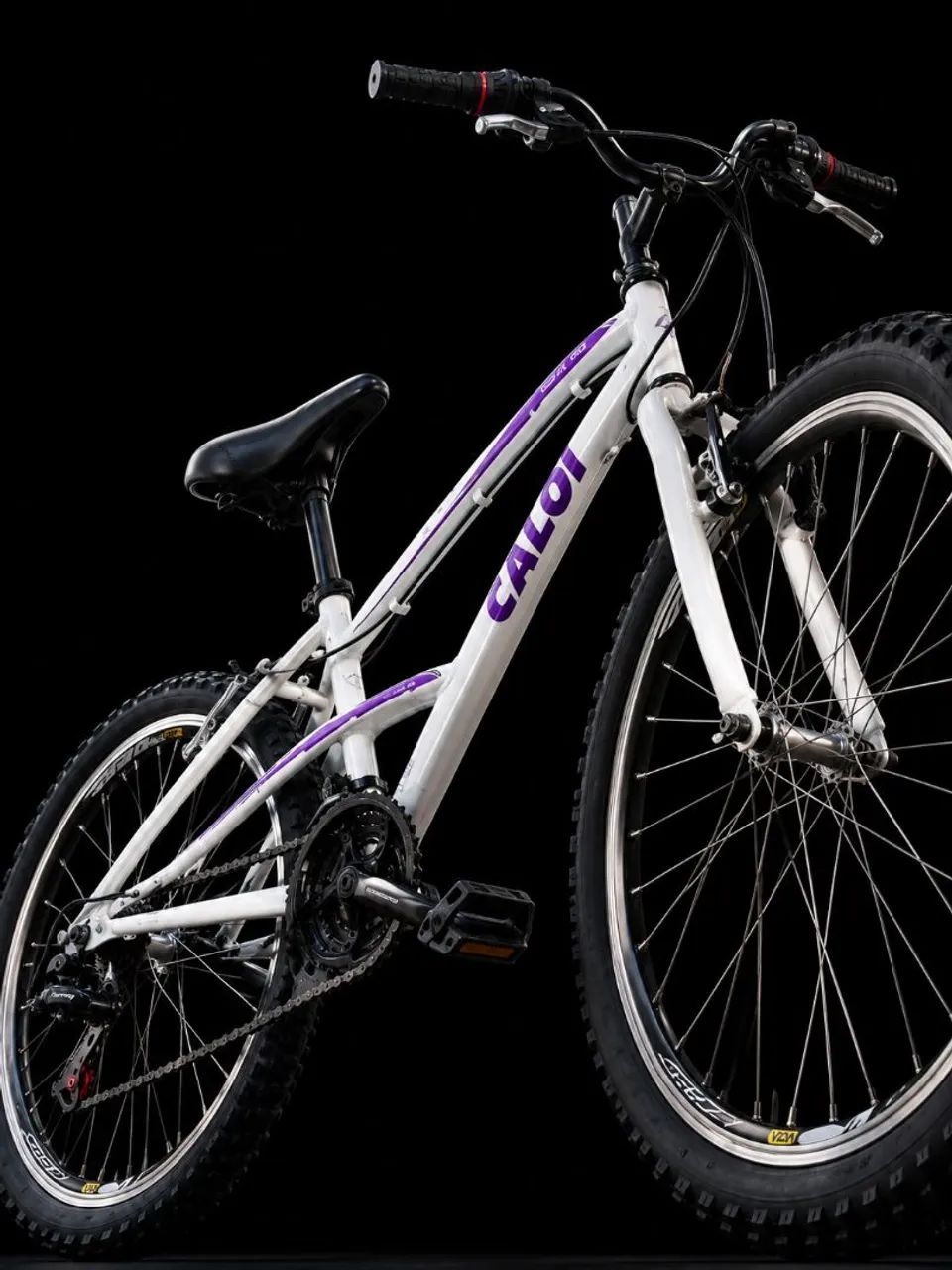 BICICLETA CALOI 100