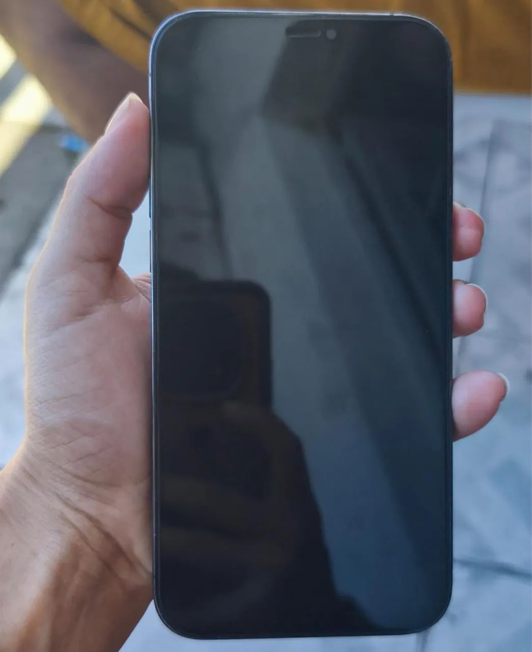 iPhone 12 Pro Max 