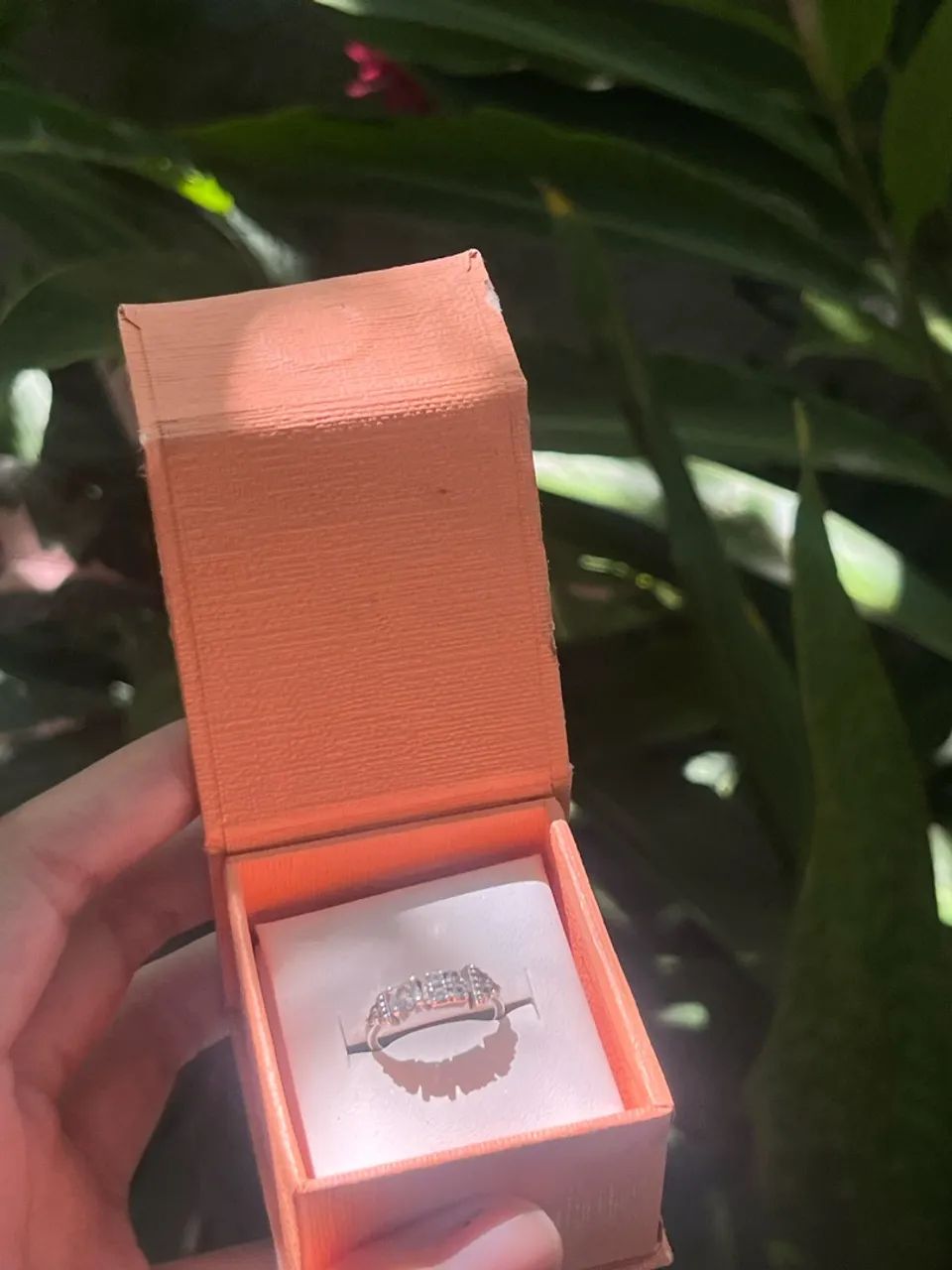 Anel vivara 11
