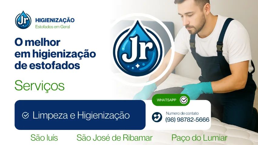 Limpeza e higienização de cama e sofá.