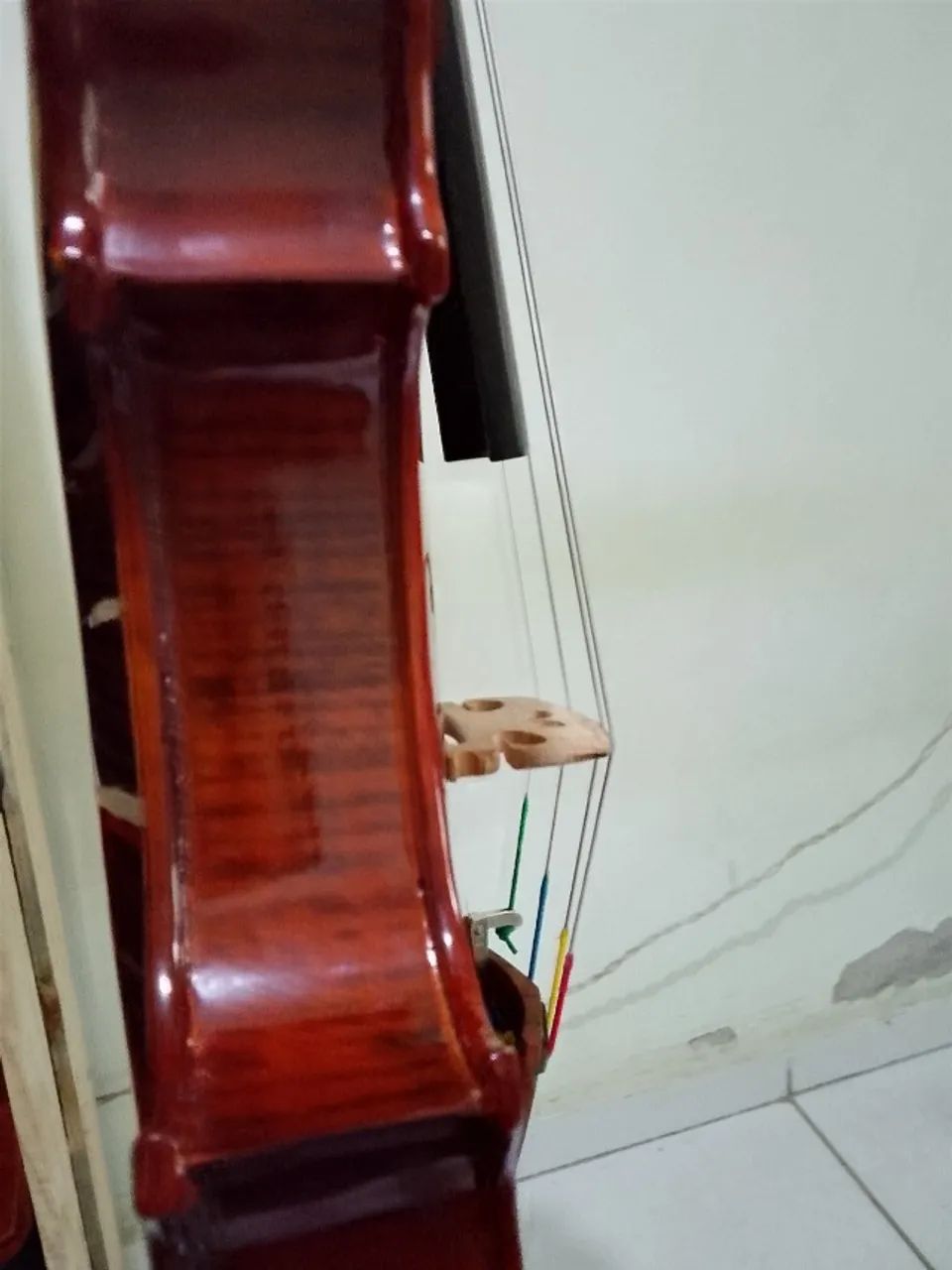 Violino eagle  - Foto 4