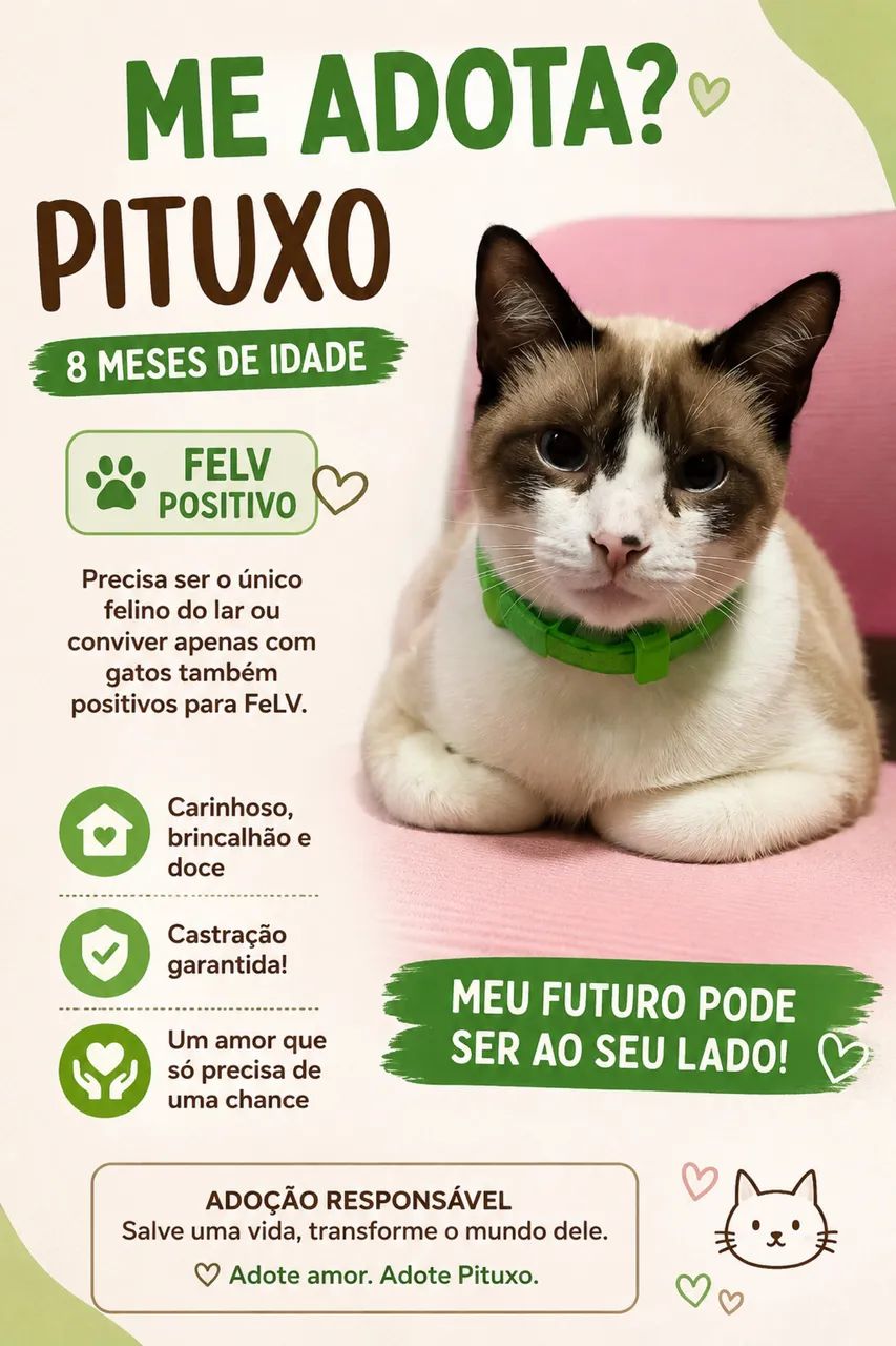 Adoção Responsável 