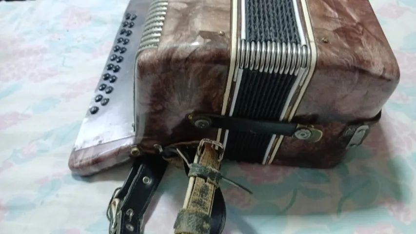 Acordeon Todeschini - Foto 3