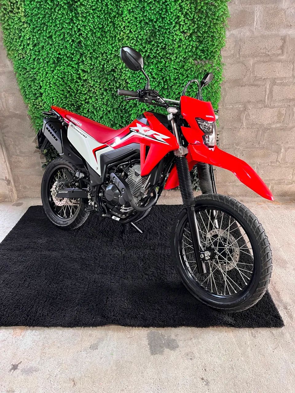 Xr 300L - Foto 2