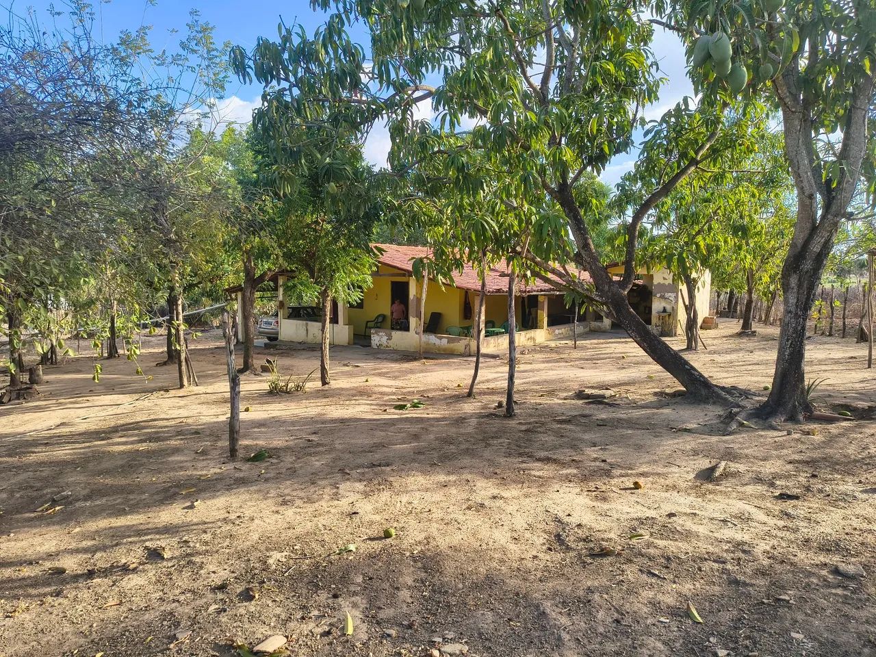 Vendo sítio em Araçoiaba, bem próximo de Guaramiranga 